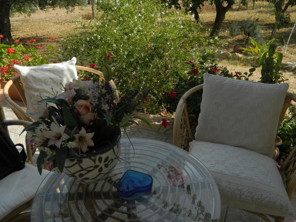 Uliveto House Bed and Breakfast Castellammare del Golfo Eksteriør billede